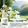 Little Kaizi Freesia Car Air Freshener